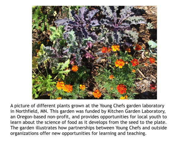 Gallery images and captions.008